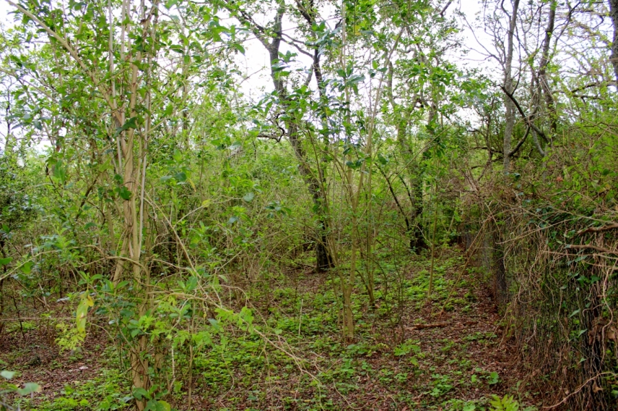 4 Bedroom Property for Sale in Bathurst Eastern Cape